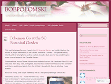 Tablet Screenshot of bobpolomski.com